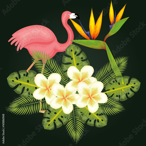 Tropical flowers and leaves with pink flamingo over dark green background vector illustration