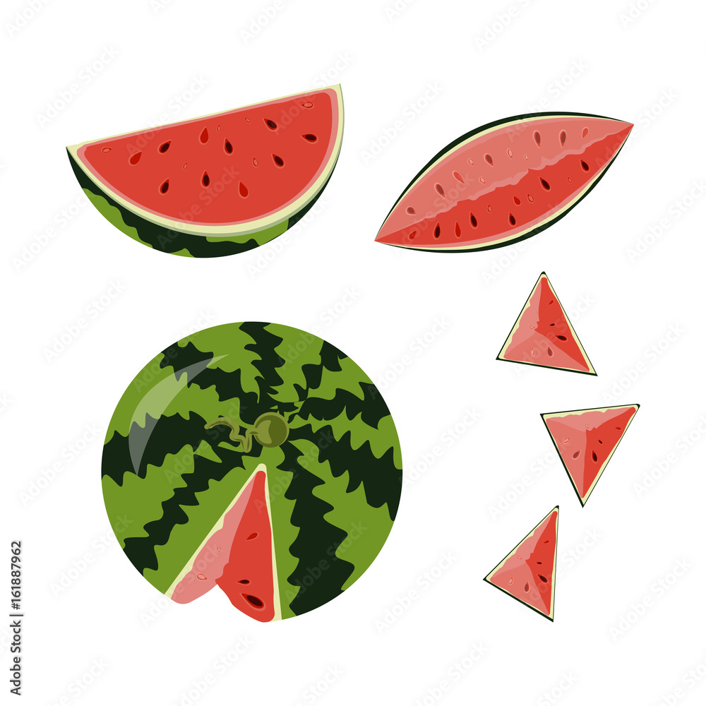 Vector illustration of whole ripe red fruit watermelon, cut half, sliced slice berry with red flesh isolated on white background. Vector illustration of whole ripe red fruit watermelon, cut half, sliced slice berry with red flesh isolated on white background.