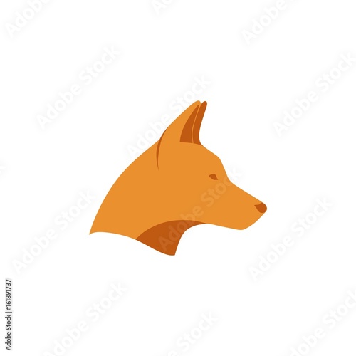 Dingo vector illustration photo