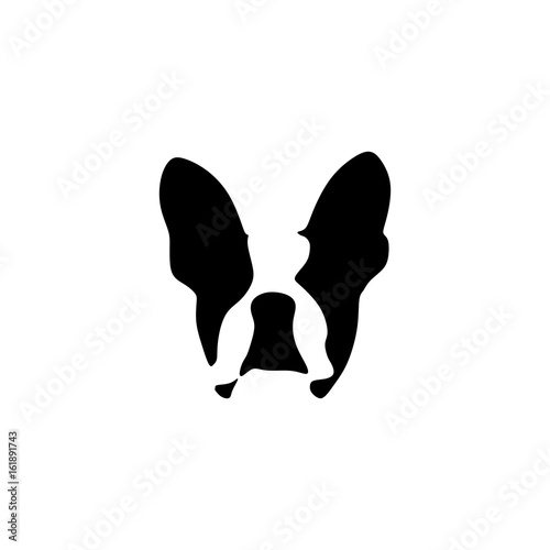 French bulldog vector illustration photo