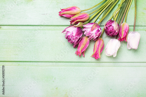 Fototapeta Naklejka Na Ścianę i Meble -  Bunch  of bright pink  spring tulips flowers  on green wooden background.
