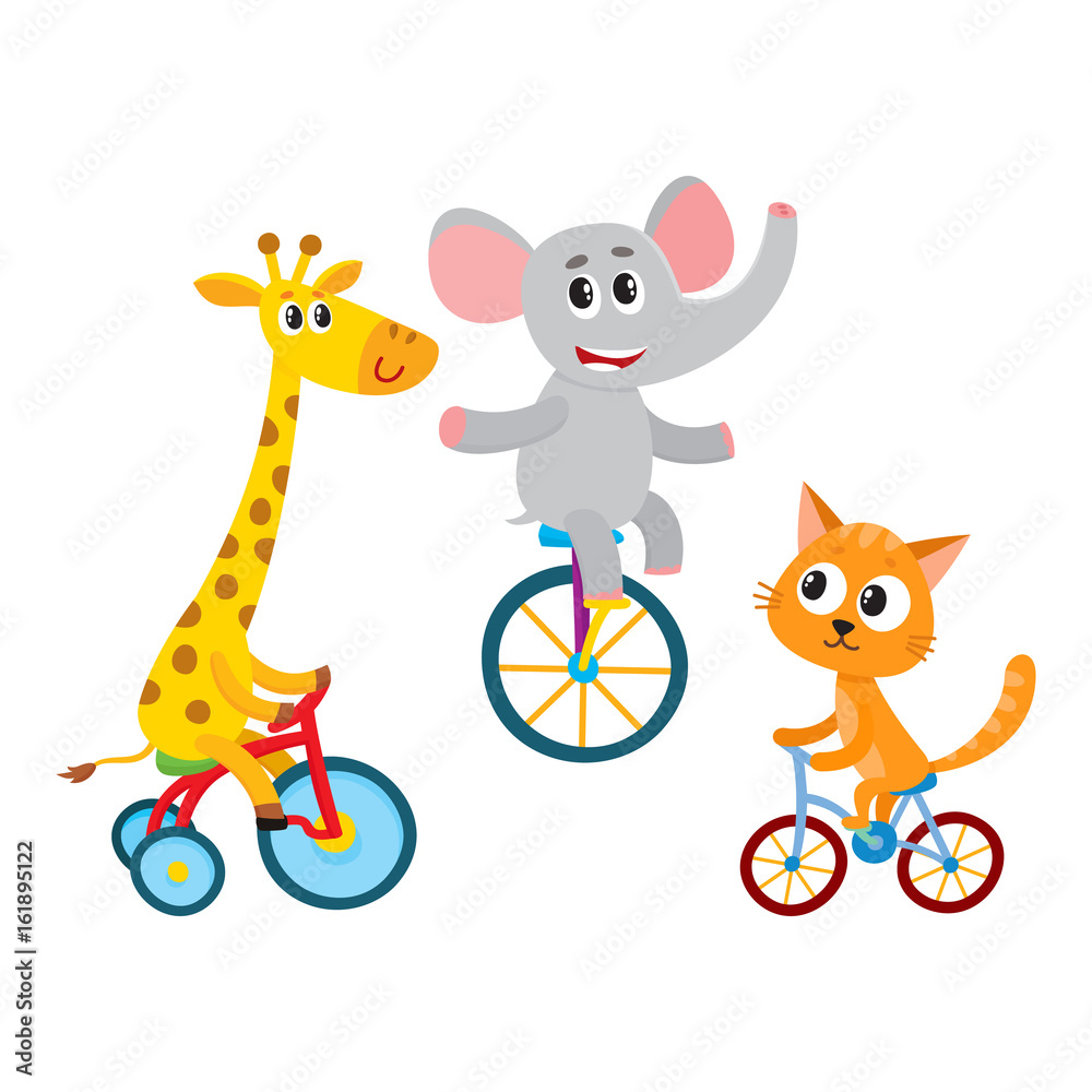 Cute elephant, giraffe, cat animal characters riding unicycle, bicycle,  tricycle, cycling, cartoon vector illustration isolated on a white  background. Little baby animal characters riding bicycles Stock Vector |  Adobe Stock