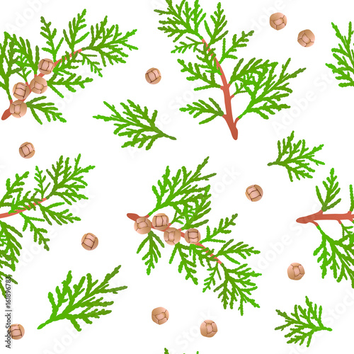 Cypress branch pattern