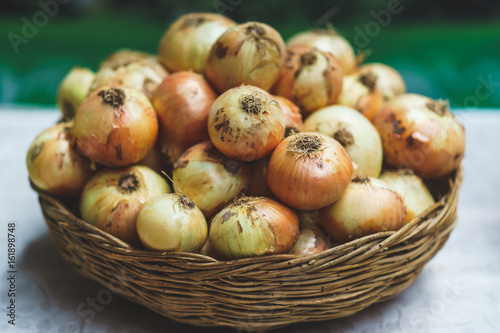 fresh onions in wicker basket