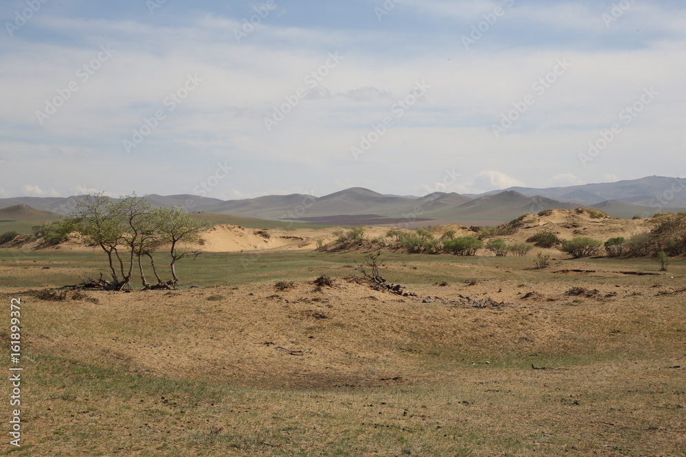 Obraz premium Mongolie