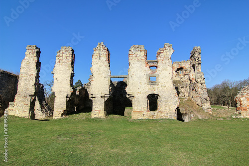 Ruins of Zviretice castle photo