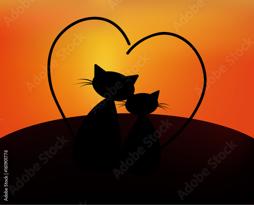 Lovely cats on the beach