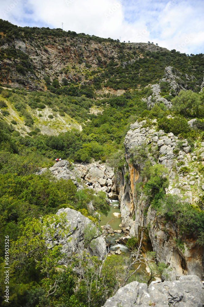 El Cañón de las Buitreras, Cortes de la Frontera, provincia de Cádiz, España
