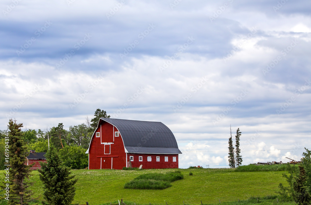 A large old refinished red and gray barn on a slight hilltop surrounded by lush green forest of trees under cloudy afternoon sky