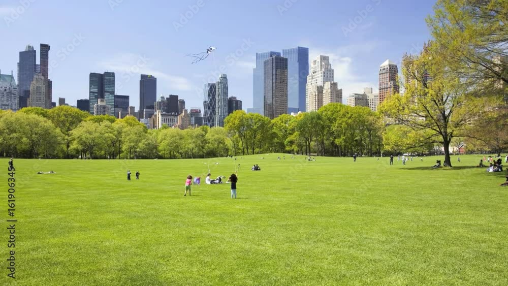 Sheep Meadow in Central Park, New York City, time lapse