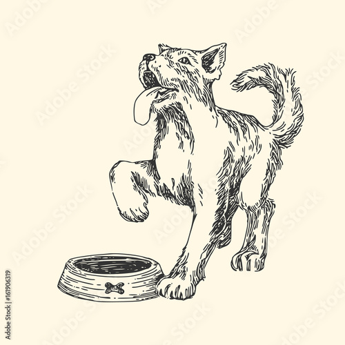 Cute dog is waiting for food. Vintage style. Vector illustration.
