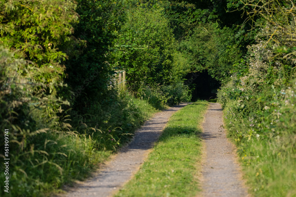 Countryside tracks leading into the distance