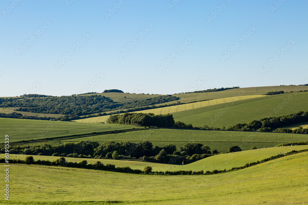 Green Landscape and Blue Sky