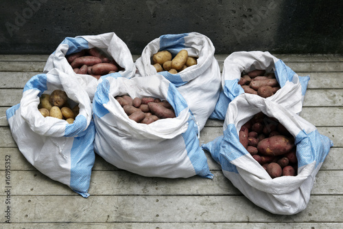Sacks of organic potatoes fresh from farm