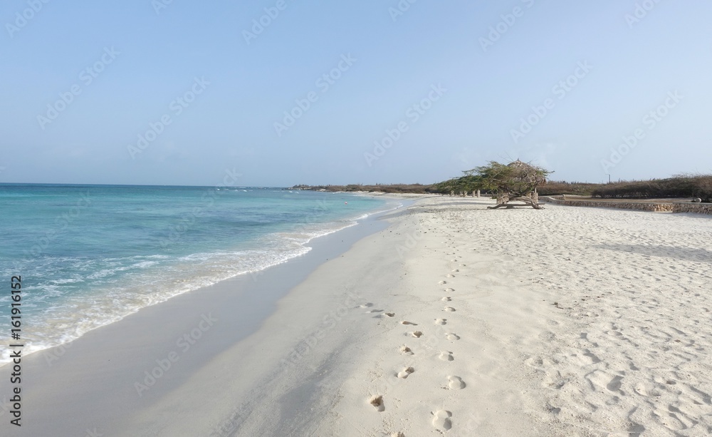 Obraz premium Caribbean Beach in Netherlands Antilles Aruba