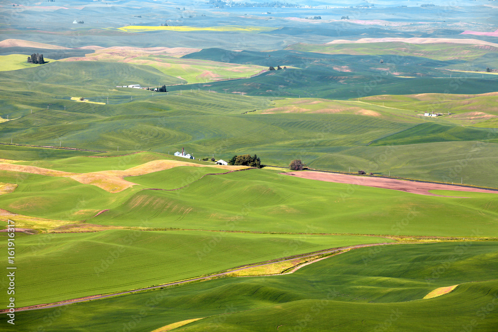 Aerial view of Palouse landscape from Steptoe butte