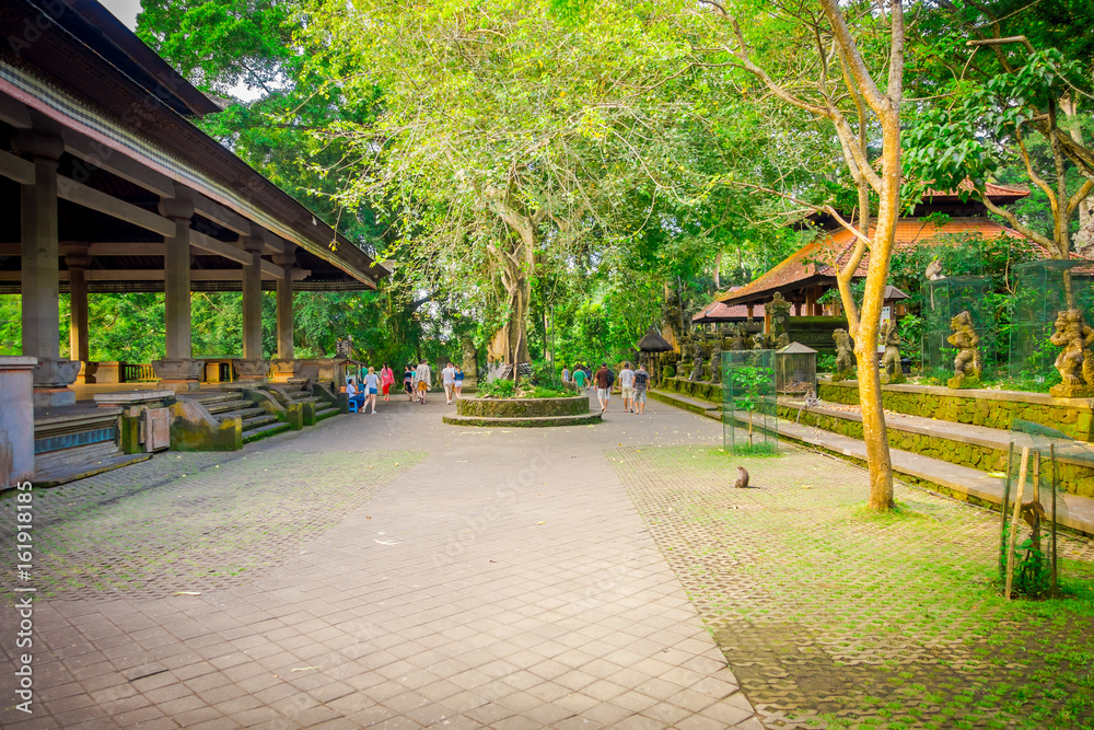 Tourist walking in monkey forest sanctuary, a nature reserve and Hindu temple complex in Ubud, Bali, Indonesia