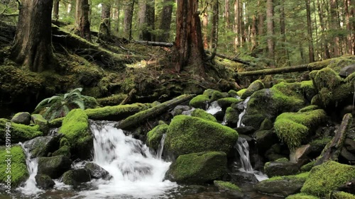 The Sol Duc river falling over moss covered rocks, Washington, Olympic National Park