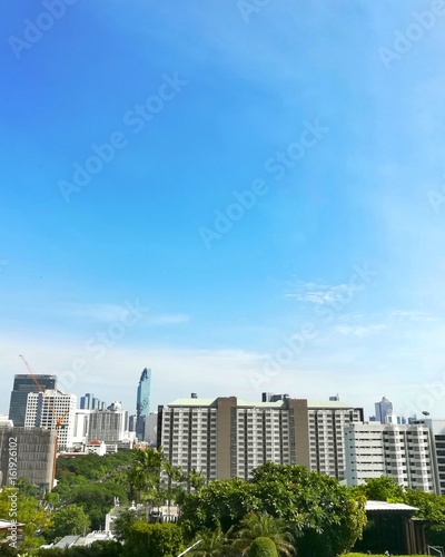 Forest in the city and beautiful clear blue sky. © misspin