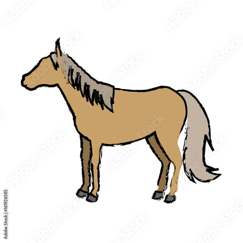 Sorrel horse with white legs vector. Flat design. Domestic animal. Country inhabitants concept. For farming  animal husbandry  horse sport illustrating. Agricultural species. Isolated on white