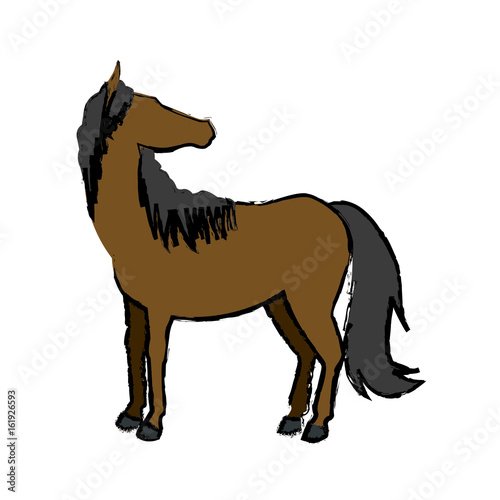 Sorrel horse with white legs vector. Flat design. Domestic animal. Country inhabitants concept. For farming, animal husbandry, horse sport illustrating. Agricultural species. Isolated on white