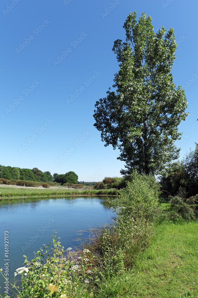 Fototapeta premium Etang dans la campagne du Morbihan