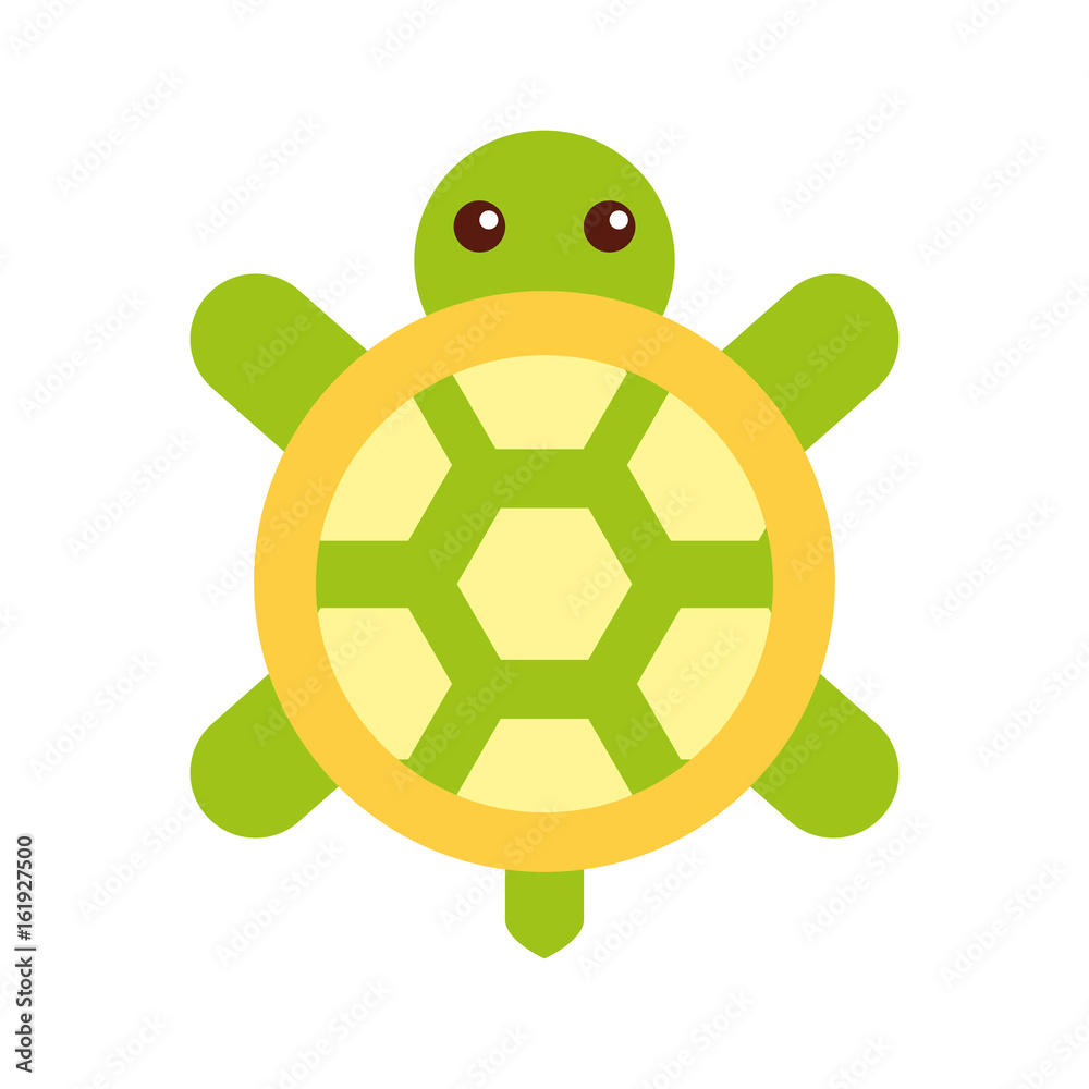 cute turtle isolated icon vector illustration design