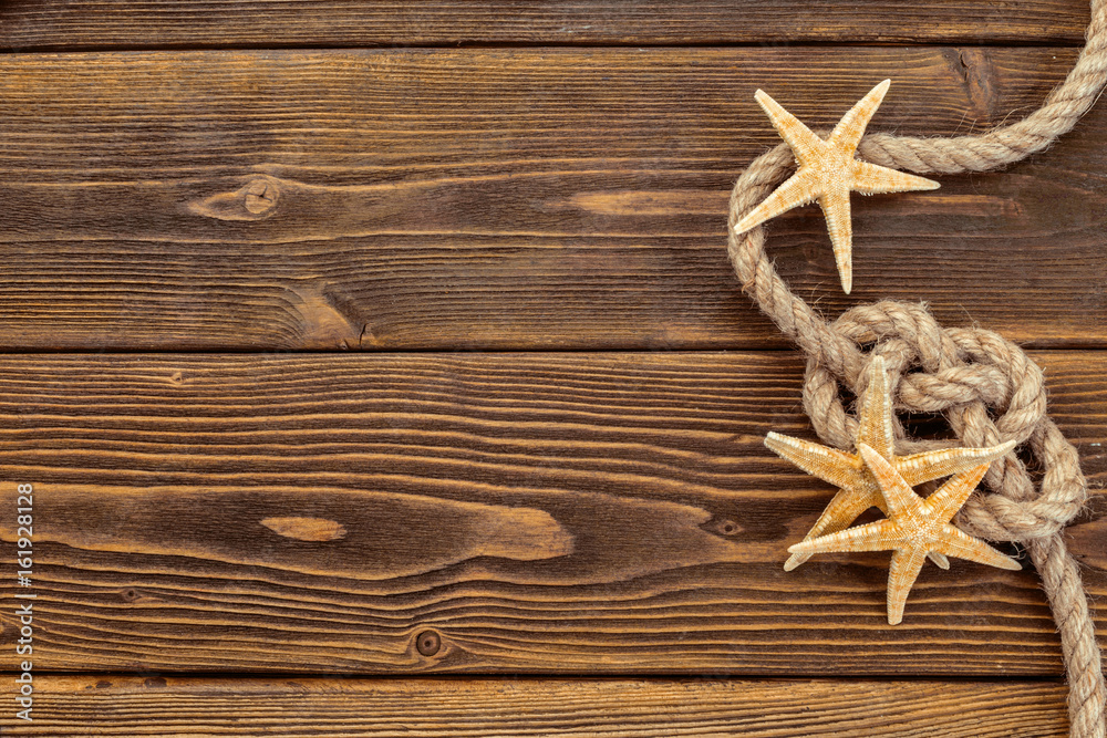 Seashells border on wood. Marine background Seashells border on wood. Marine background