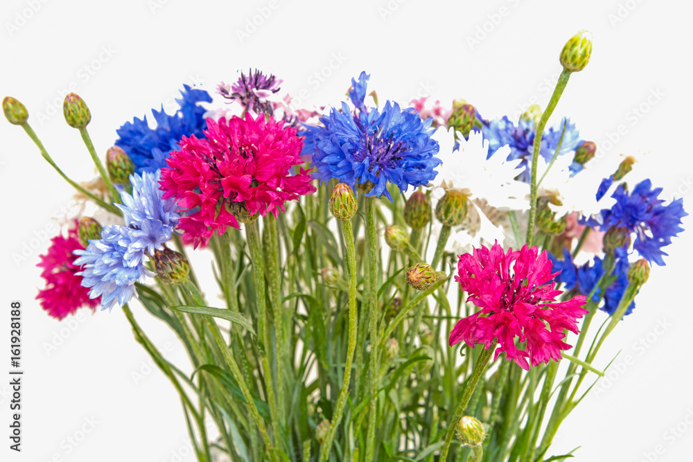 Obraz premium Bouquet of beautiful field cornflowers.