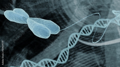 Canvas Print Chromosome and DNA representation bioinformatics biotechnology concept, chromoso