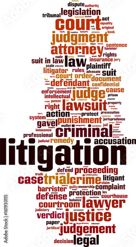 Litigation word cloud