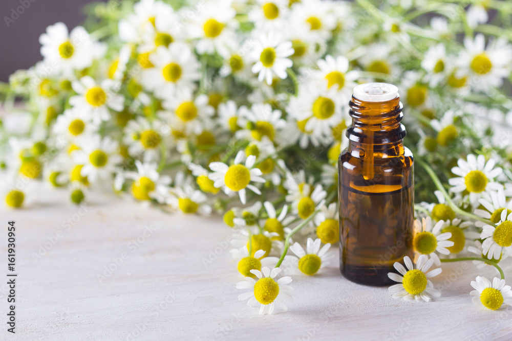 Camomile essential oil and camomile flowers Camomile essential oil and camomile flowers