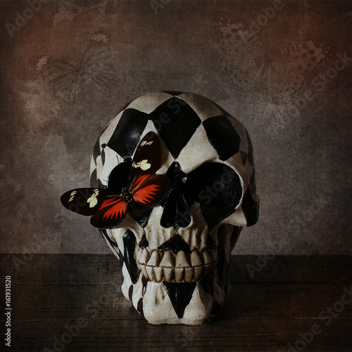 Skull with butterfly photo