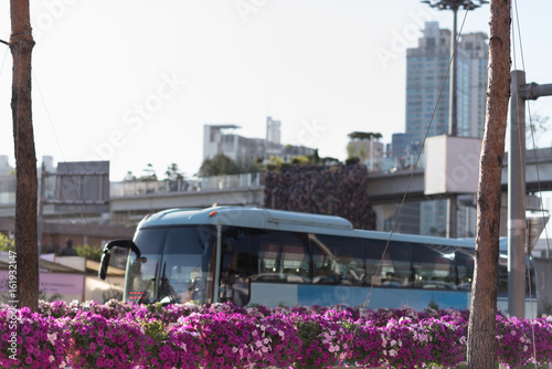 Close up view of urban road with red and magenta flowers and blue blured bus. Public transport in city concept photo