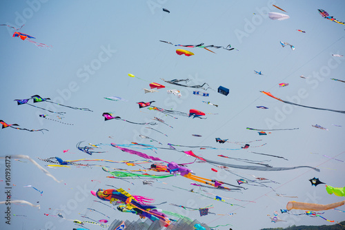 Kites party over the beach
