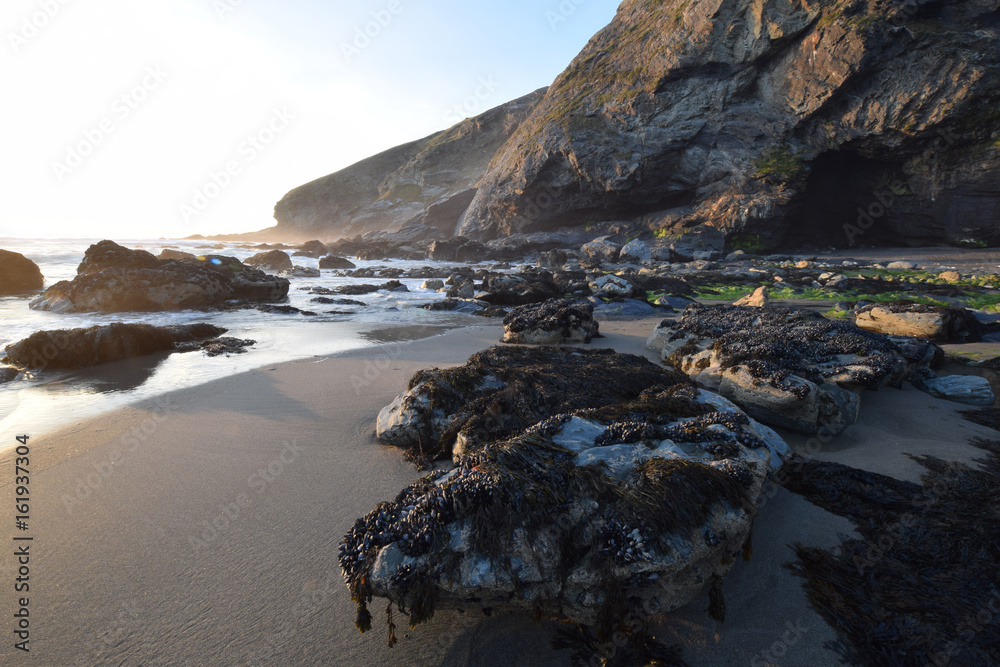 Tregardock Beach Cornwall