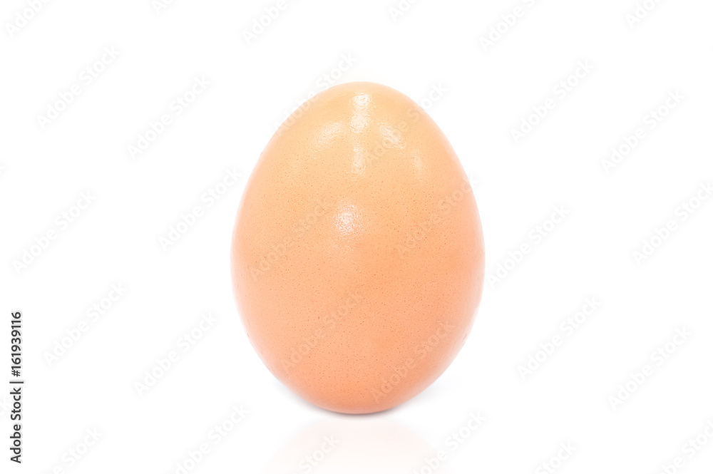 Close up of an egg, isolated on a white background Close up of an egg, isolated on a white background