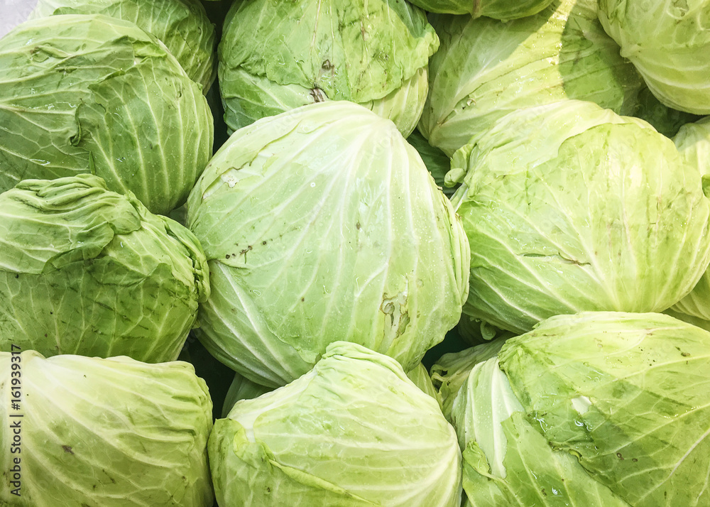 Group of green cabbages in the supermarket, close up Group of green cabbages in the supermarket, close up
