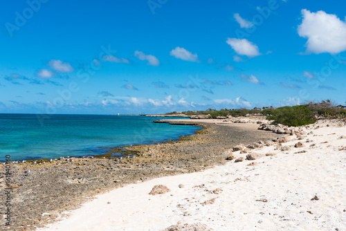 Fototapeta Naklejka Na Ścianę i Meble -  Aruba- Malmok coast