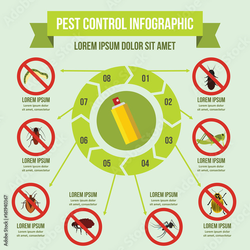 Pest control infographic concept, flat style