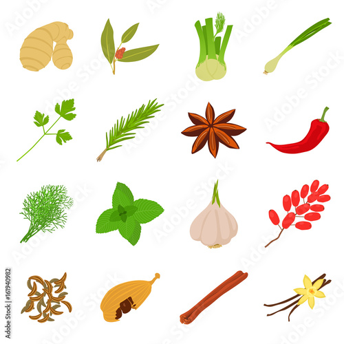 Spices icons set, cartoon style