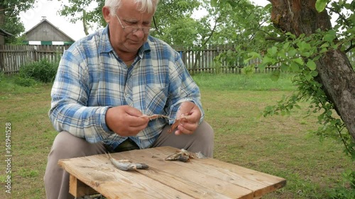 An elderly man is cleaning the dried fish in the garden on the table. photo