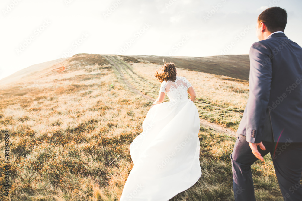 Happy wedding couple posing over beautiful landscape in the mountains Happy wedding couple posing over beautiful landscape in the mountains