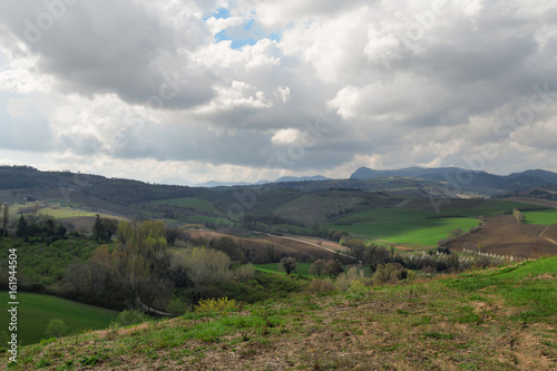 Green fields in a spring day, cloudy sky