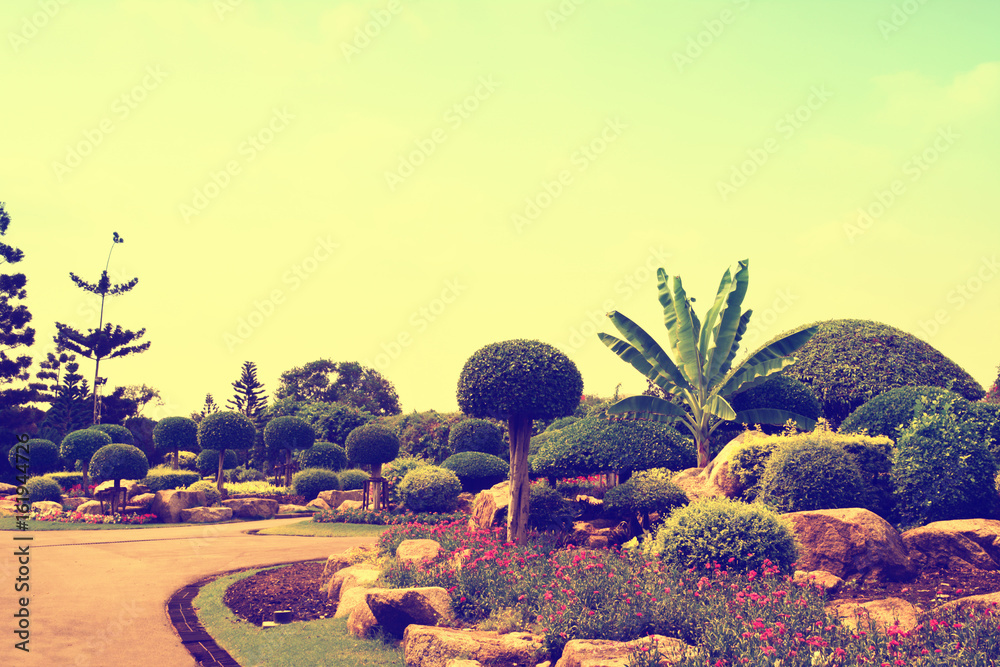 Tropical  plant landscaped garden background