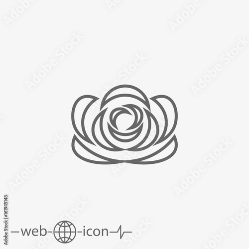 rose
