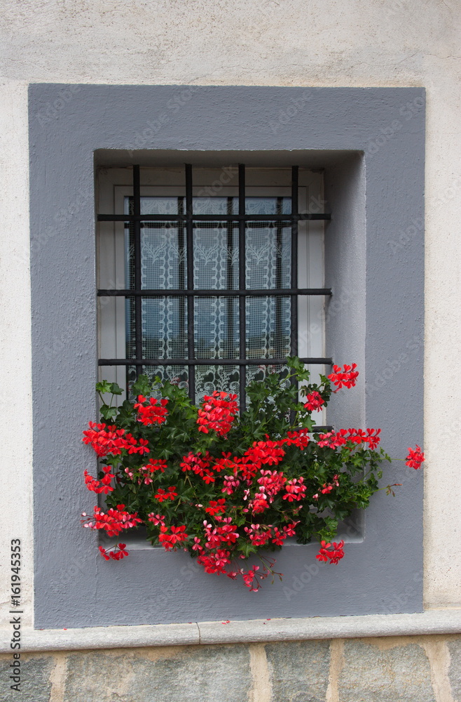 finestra con sbarre e fiori