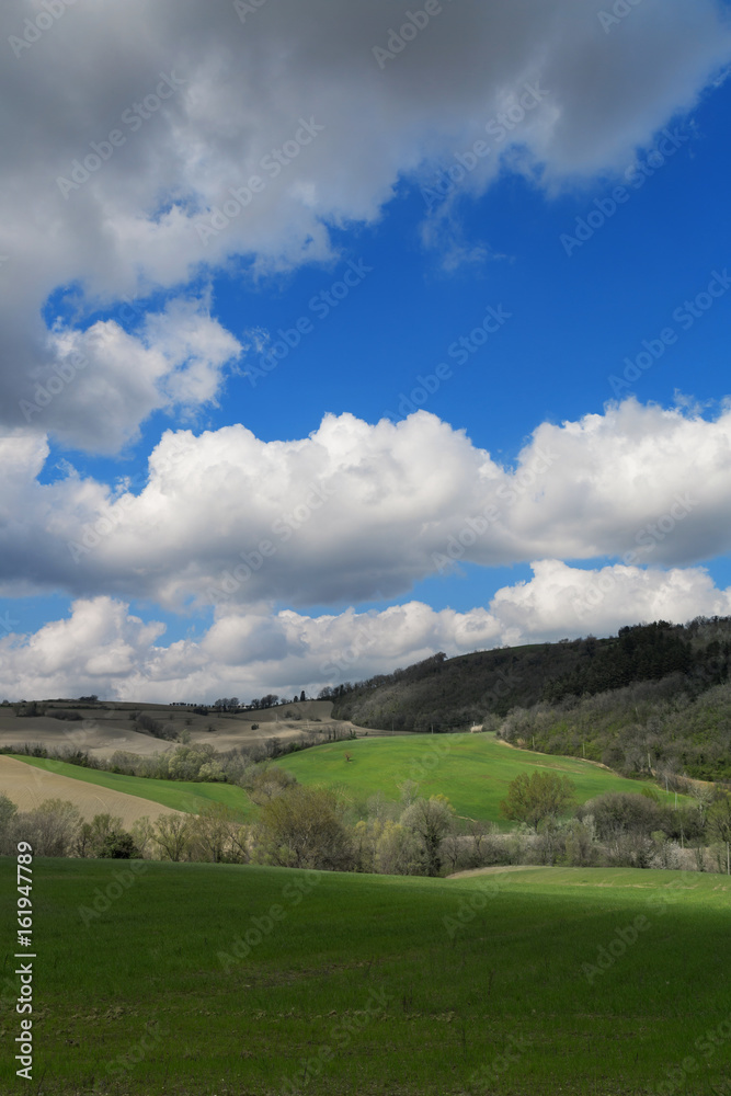 Natural landscape, green fields and cloudy sky