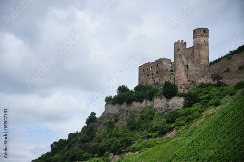 Castle in the Rhine Valley