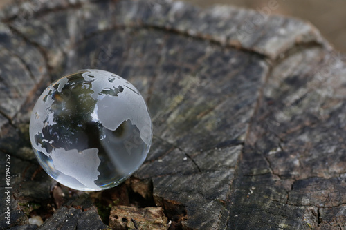 Glass Globe on stump